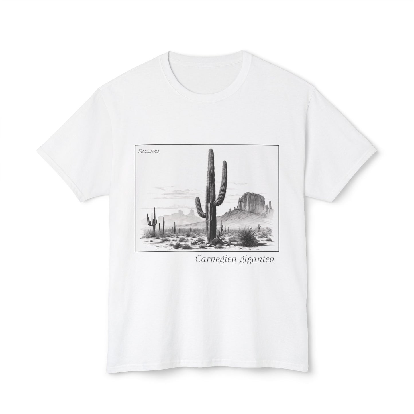 Saguaro